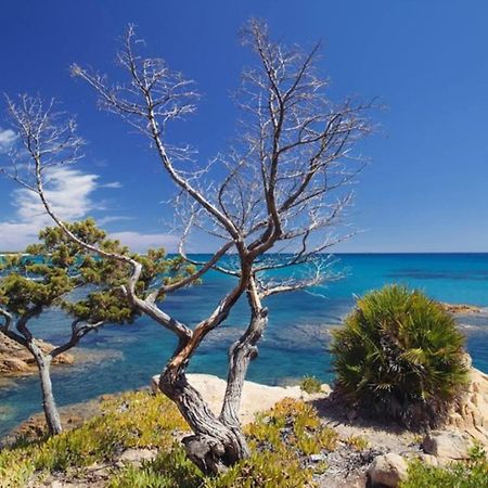Villa Vera Trifamigliare Con Ingresso Diretto 20 Mt Al Mare Clima Wi-Fi Bbq Cala Liberotto Eksteriør bilde