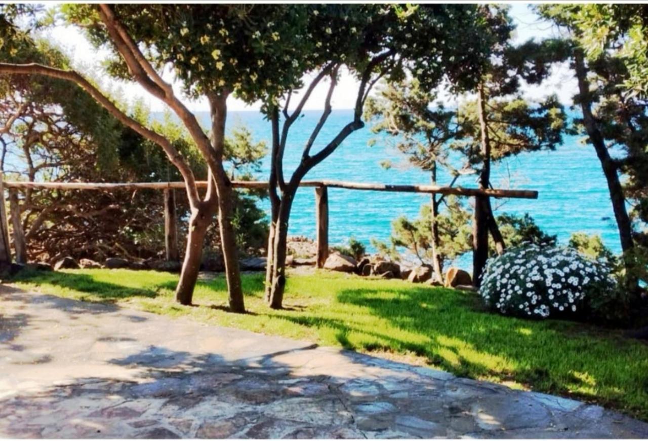 Villa Vera Trifamigliare Con Ingresso Diretto 20 Mt Al Mare Clima Wi-Fi Bbq Cala Liberotto Eksteriør bilde