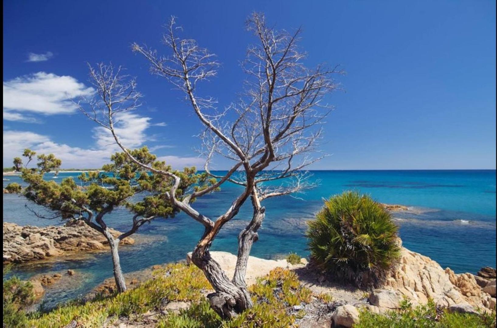 Villa Vera Trifamigliare Con Ingresso Diretto 20 Mt Al Mare Clima Wi-Fi Bbq Cala Liberotto Eksteriør bilde